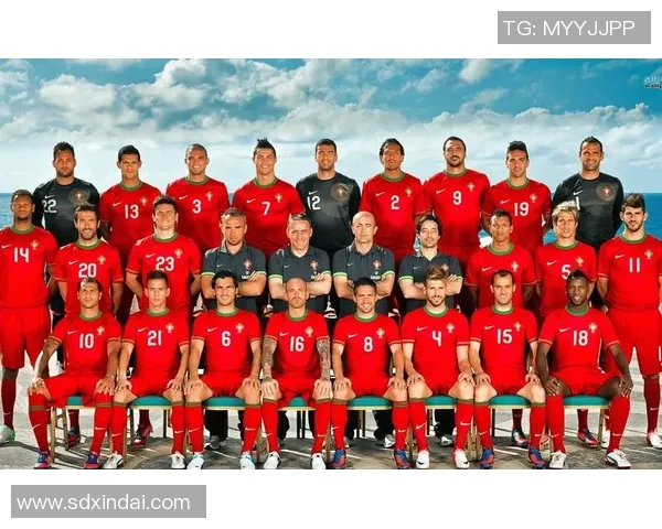 葡萄牙与波兰精彩对决回放全程回顾与精彩瞬间分析 葡萄牙与波兰精彩对决回放全程回顾与精彩瞬间分析