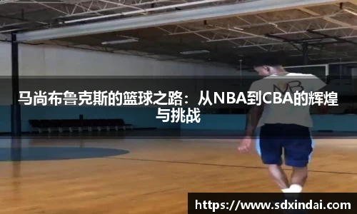 马尚布鲁克斯的篮球之路：从NBA到CBA的辉煌与挑战
