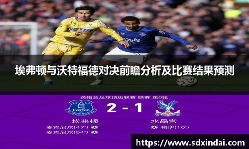 埃弗顿与沃特福德对决前瞻分析及比赛结果预测